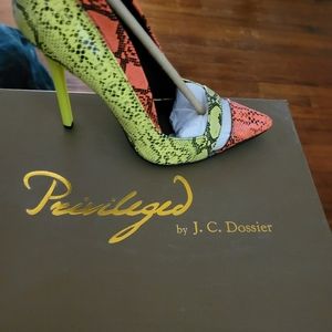 Privileged by J.C. Dossier